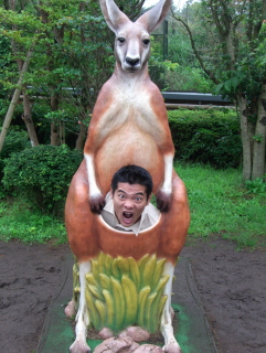 ������܂����I